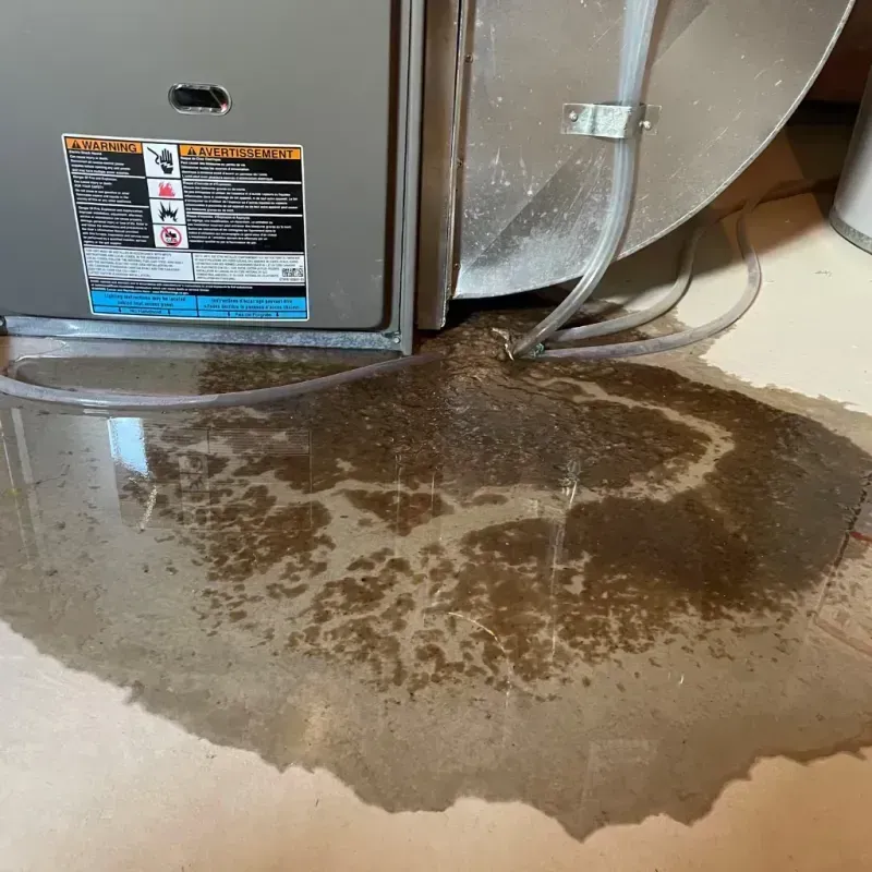 Appliance Leak Cleanup in Decatur County, IA